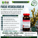 Fucus Vesiculosus Ø (20ml)