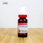 Hydrangea Arborescens Ø (20ml) - Image 2