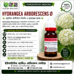 Hydrangea Arborescens Ø (20ml)