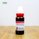 Bellis Perennis Ø (20ml) - Image 3