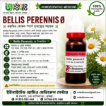 Bellis Perennis Ø (20ml)