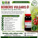 Berberis Vulgaris Ø (20ml)