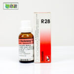 Dr. Reckeweg R28