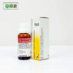Dr. Reckeweg R63 - Image 3