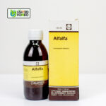 Alfalfa